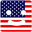 American Background Check icon